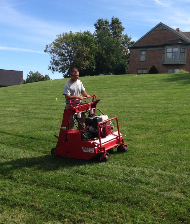 Lawn Treatment