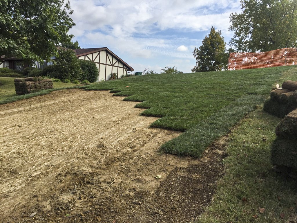 Lawn Treatment